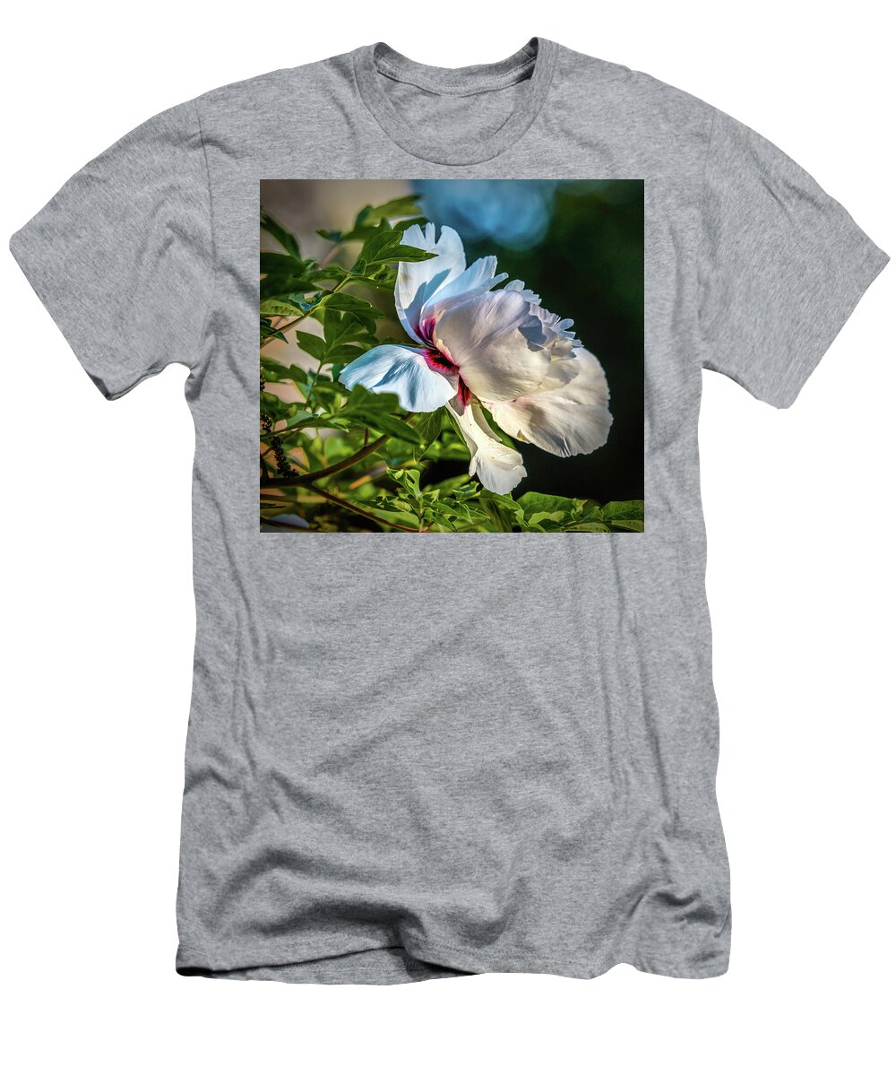 White Petals T-Shirt featuring the photograph White Petals #i4 by Leif Sohlman