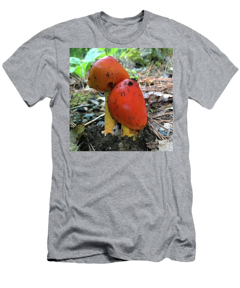 Photography T-Shirt featuring the photograph Woodland 100 by Amy E Fraser
