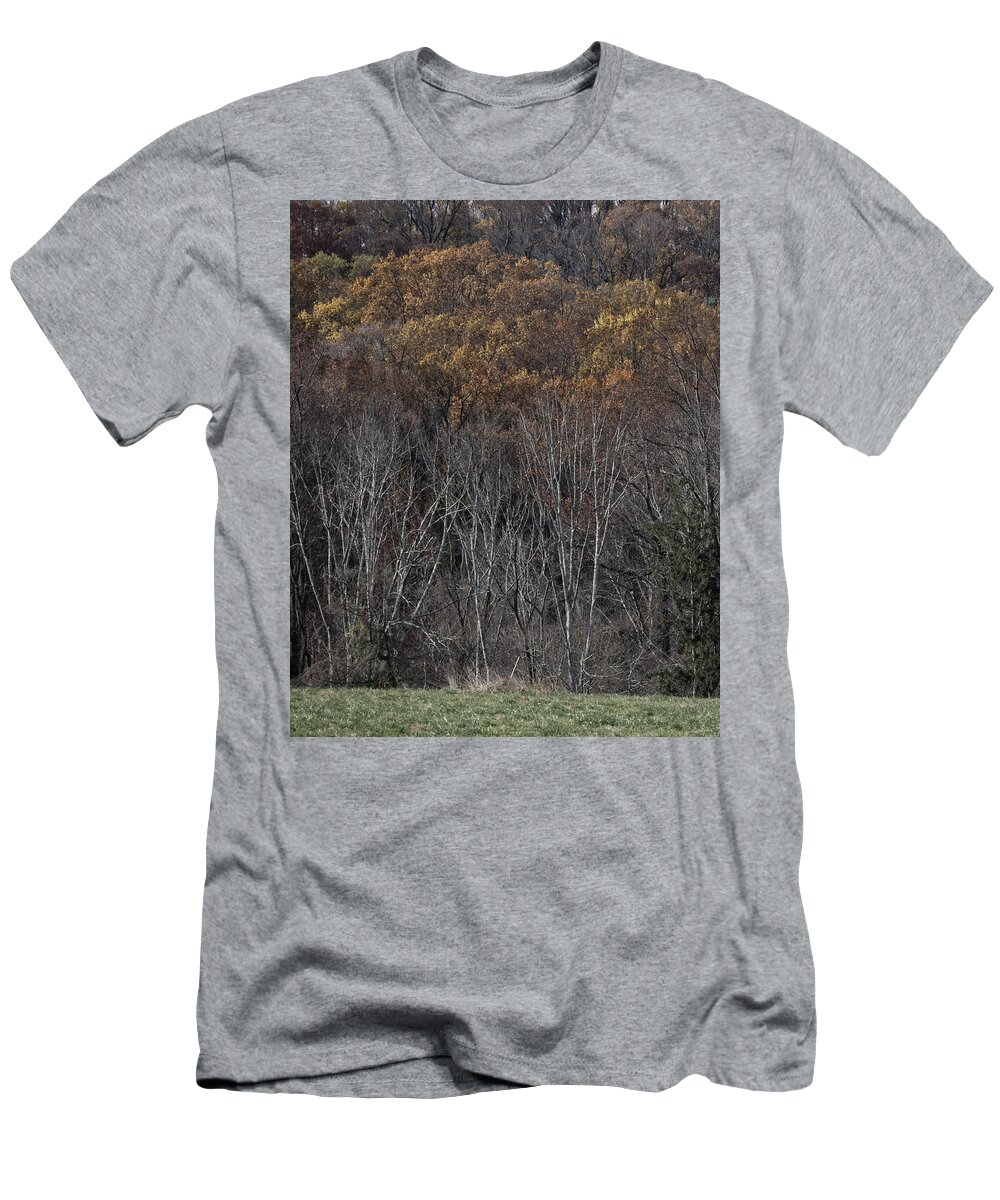 Forest T-Shirt featuring the photograph Woods by Paul Ross