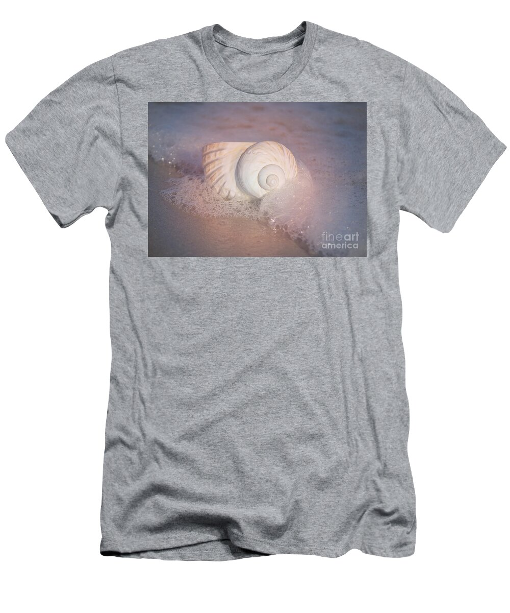 Shells T-Shirt featuring the photograph Worn By The Sea by Kathy Baccari