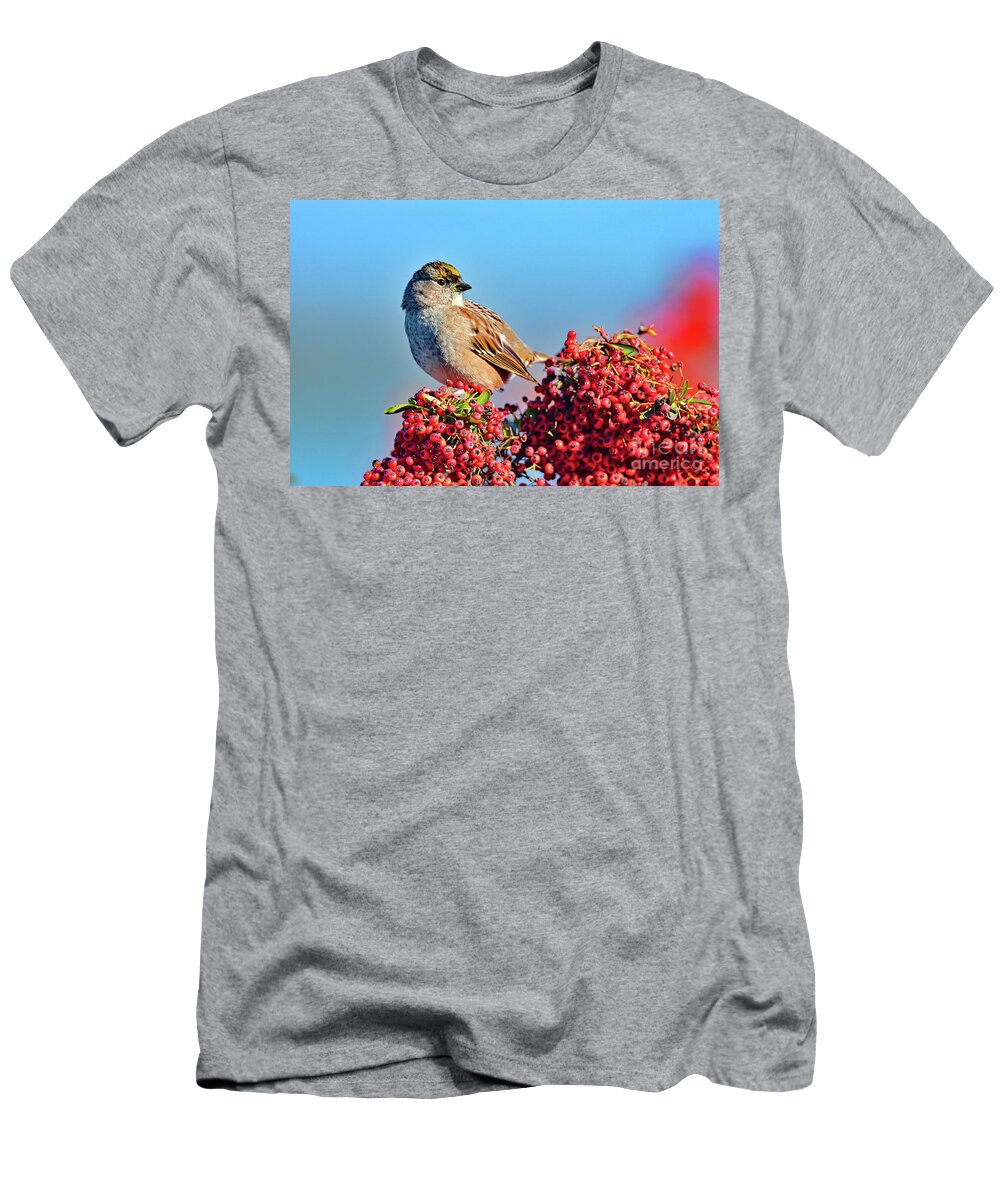 Sparrow T-Shirt featuring the photograph Yellow Crowned Sparrow by Amazing Action Photo Video