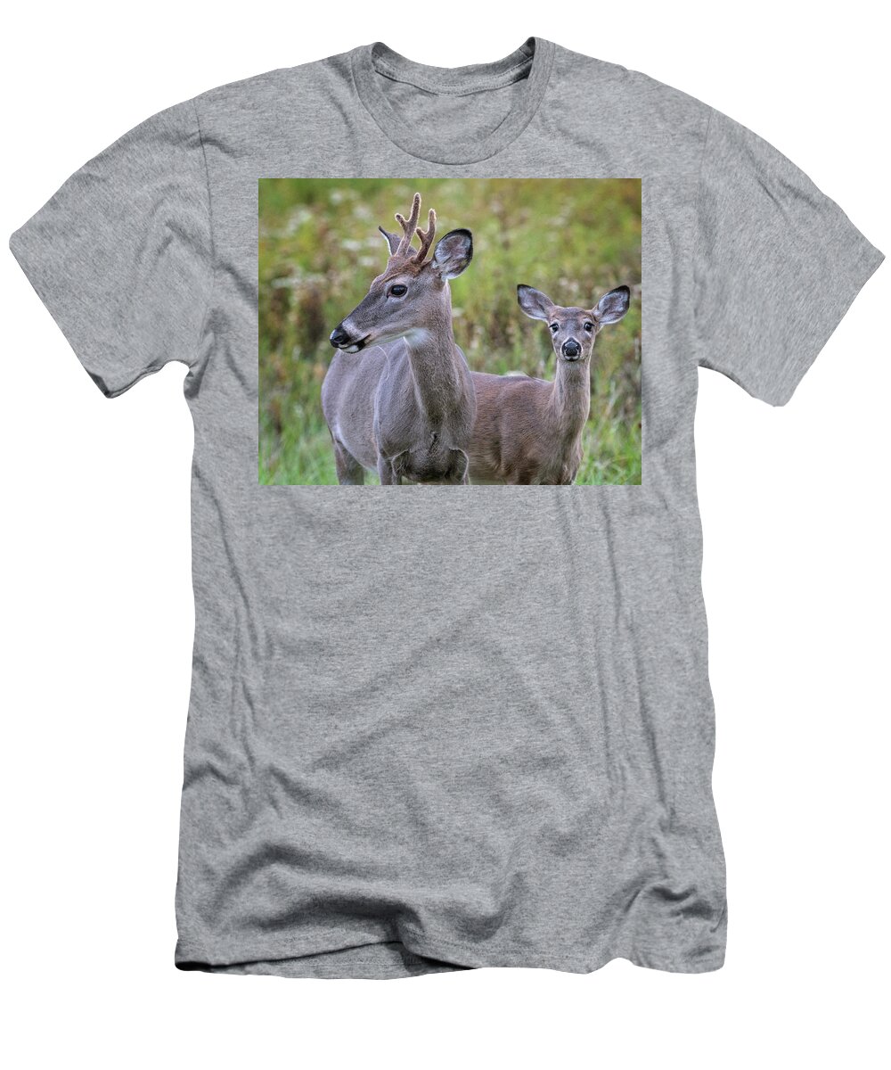 White Tail Deer T-Shirt featuring the photograph Young Buck and friend by Jaki Miller