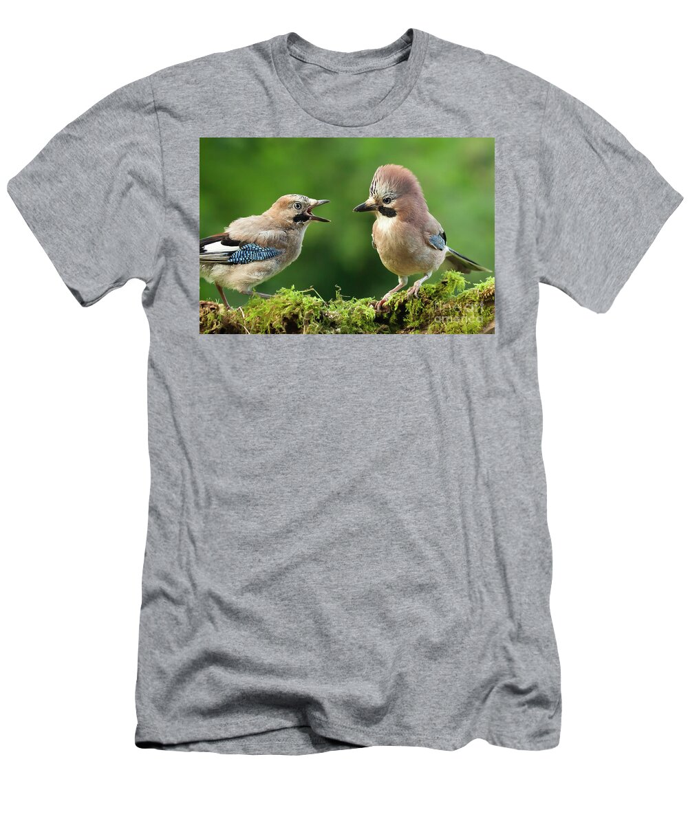Jay T-Shirt featuring the photograph Young jay bird with parent close up by Simon Bratt