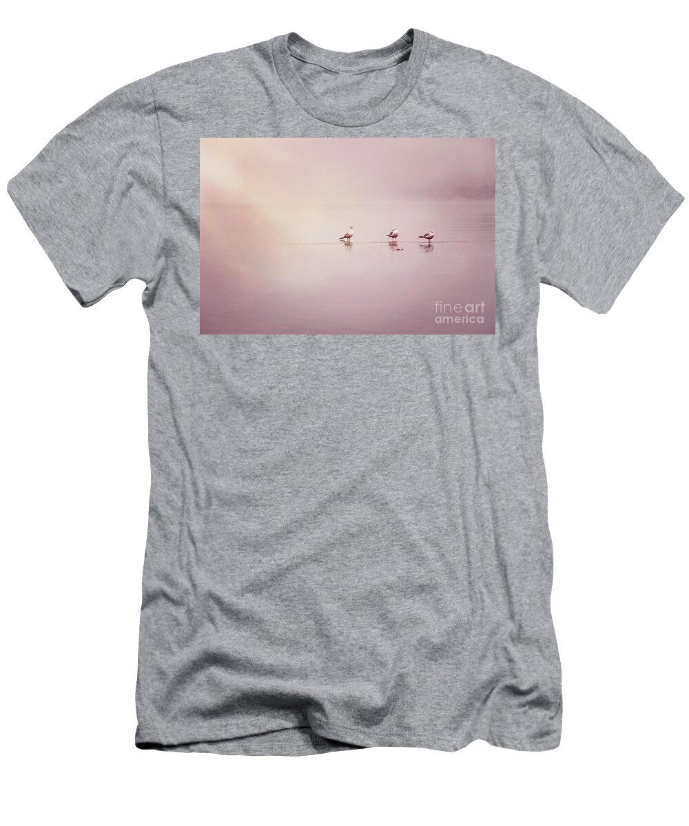 Seagull T-Shirt featuring the photograph 3 Gulls #1 by Sylvia Cook