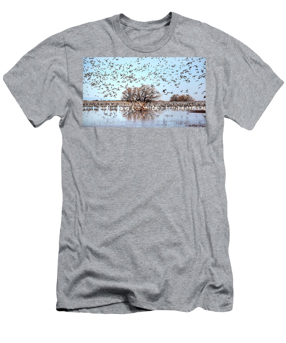 Wildlife T-Shirt featuring the photograph Arrival by Robert Harris
