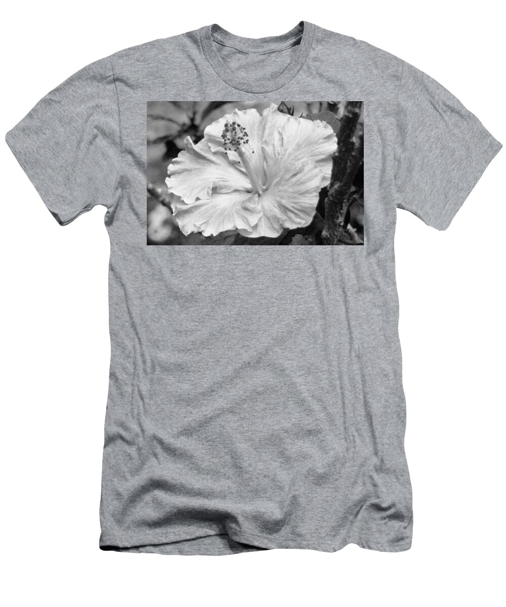 Flower T-Shirt featuring the photograph Black and White Hibiscus 2 #1 by Amy Fose