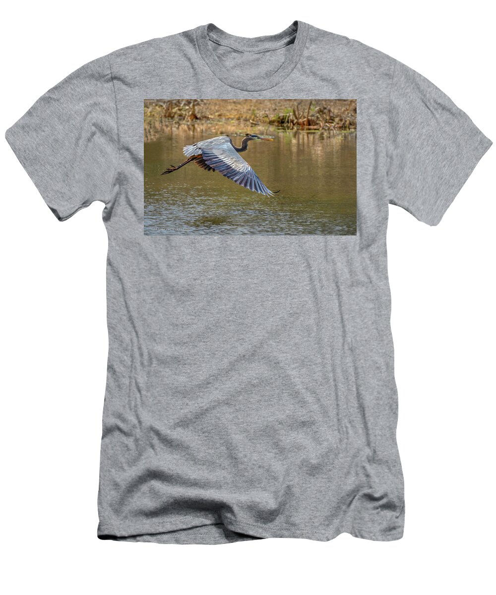 Washington T-Shirt featuring the photograph Blue Heron In Flight #1 by LeeAnn McLaneGoetz McLaneGoetzStudioLLCcom