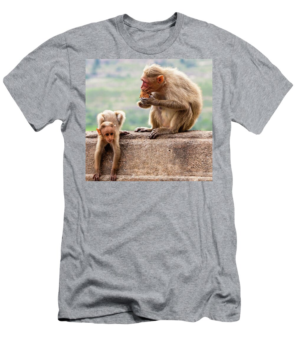 Animal T-Shirt featuring the photograph Bonnet macaques - mother and child #1 by SAURAVphoto Online Store