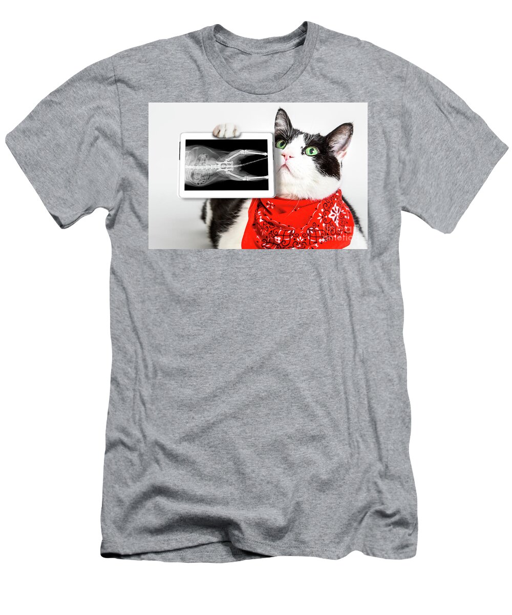 X Ray T-Shirt featuring the photograph Cat with X ray plate #1 by Benny Marty