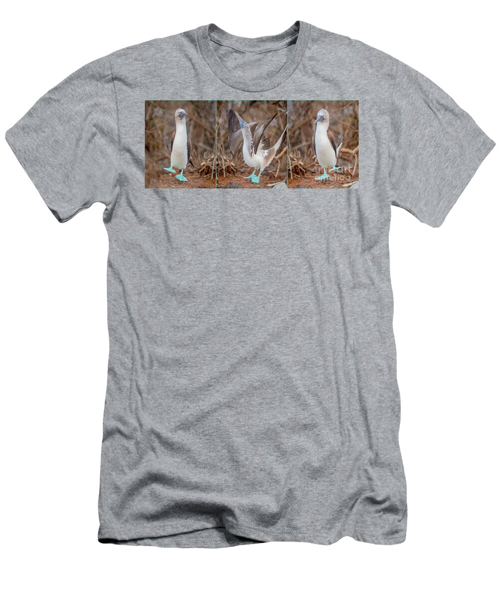 Blue Footed Booby T-Shirt featuring the photograph Footloose #1 by John Hartung