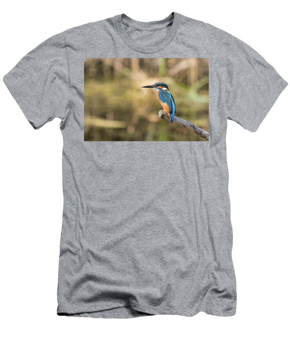 Acledo Athis T-Shirt featuring the photograph Kingfisher Waiting #2 by Wendy Cooper