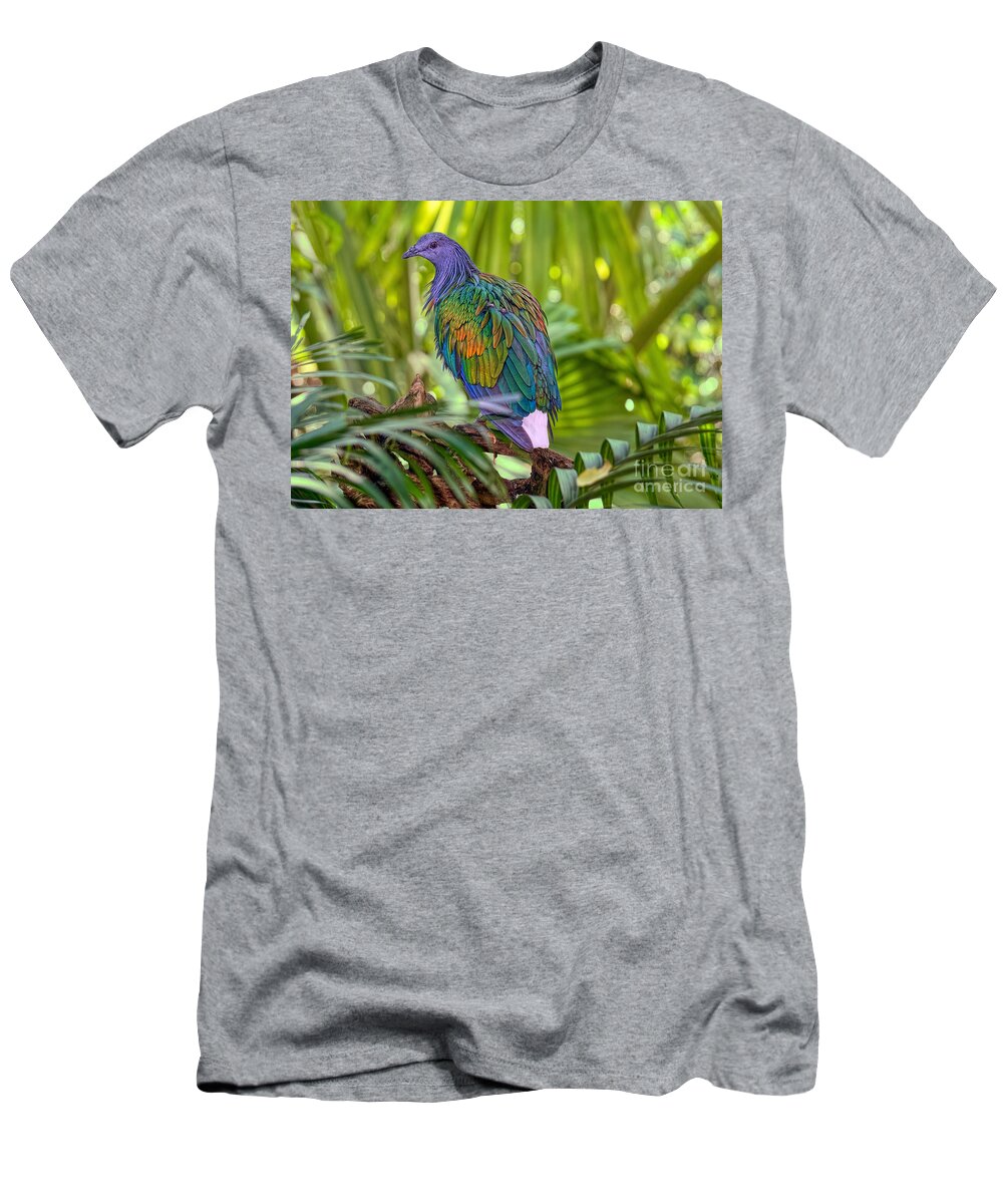 Caloenas T-Shirt featuring the photograph Nicobar and the Palms #1 by Judy Kay