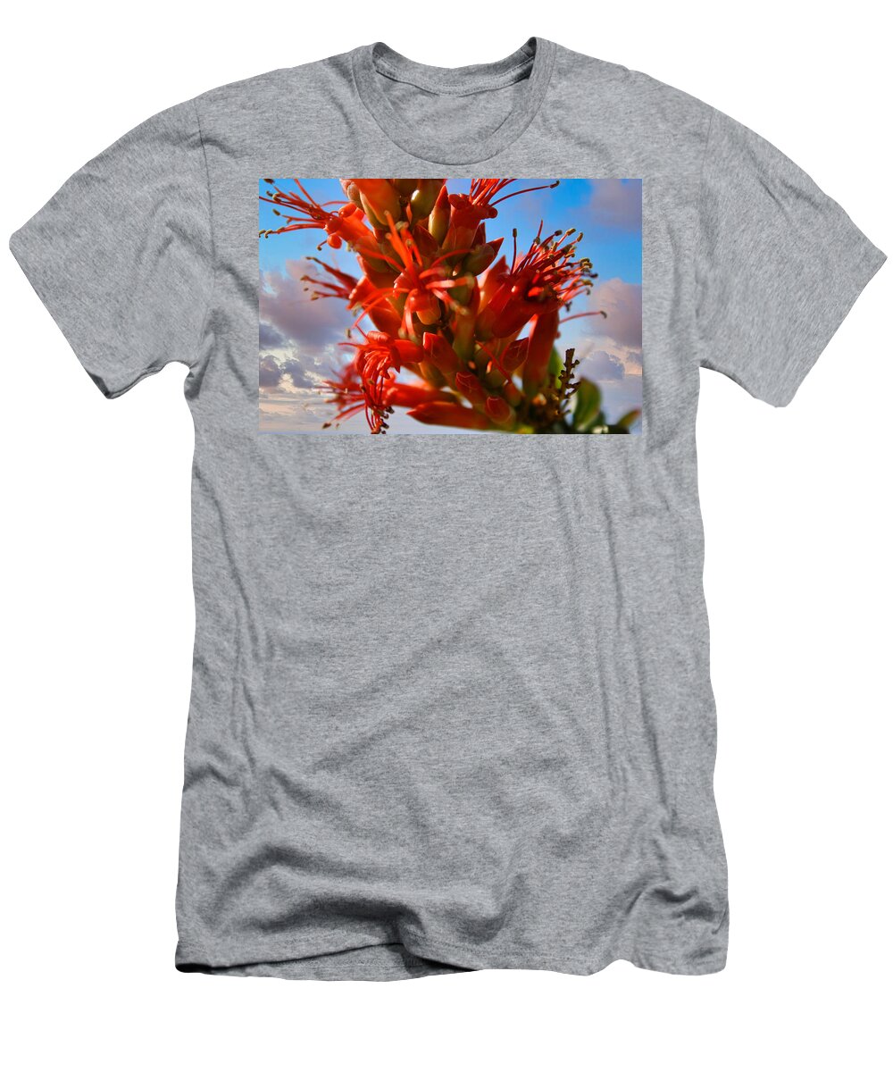 Ocotillo Bloom T-Shirt featuring the photograph Ocotillo Bloom by Gene Taylor