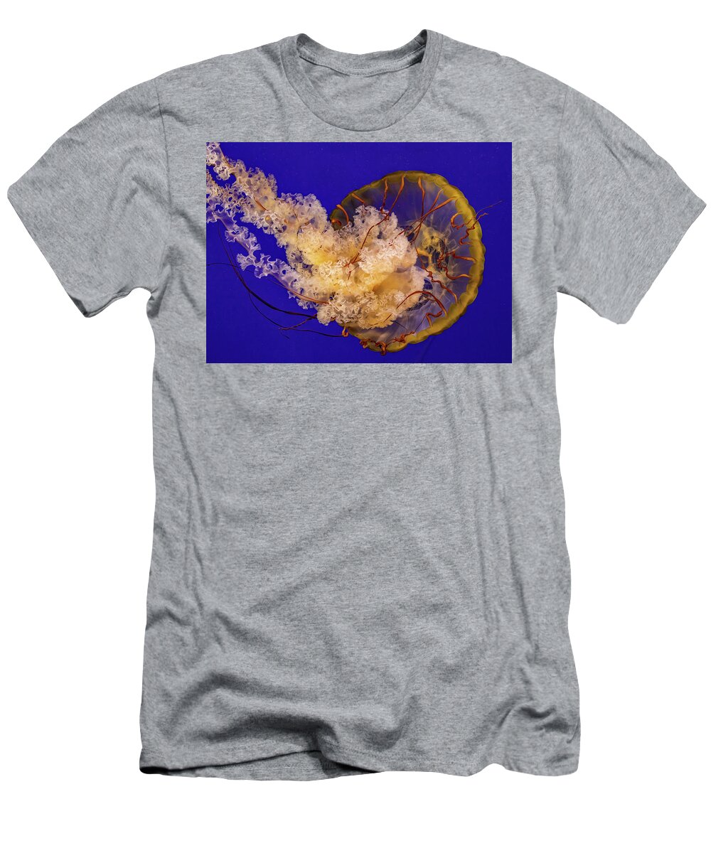 Nature T-Shirt featuring the photograph Pacific Sea Nettle #1 by Bob Cournoyer