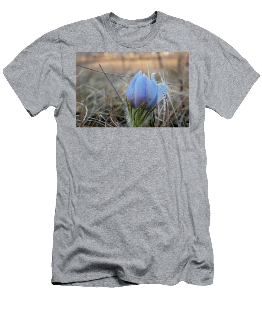 Crocus T-Shirt featuring the photograph Spring Crocus #1 by Phil And Karen Rispin