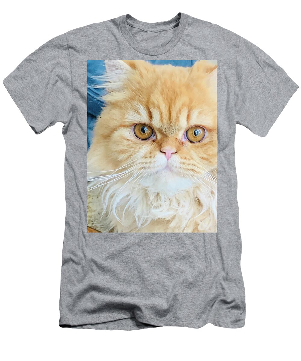 Kitten T-Shirt featuring the photograph Tawny by Juliette Becker
