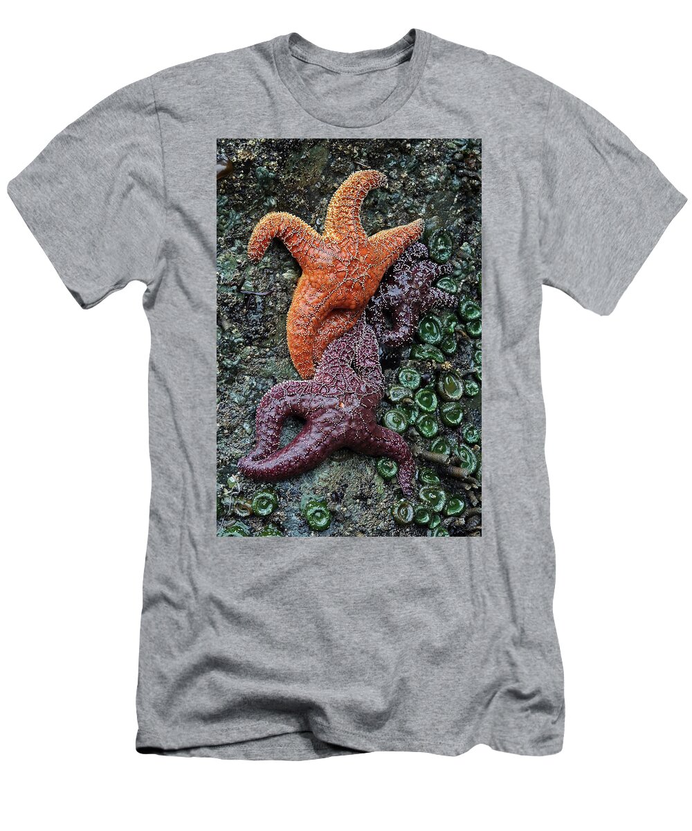Olympic National Park T-Shirt featuring the photograph Tide Pool #1 by Paul Schultz