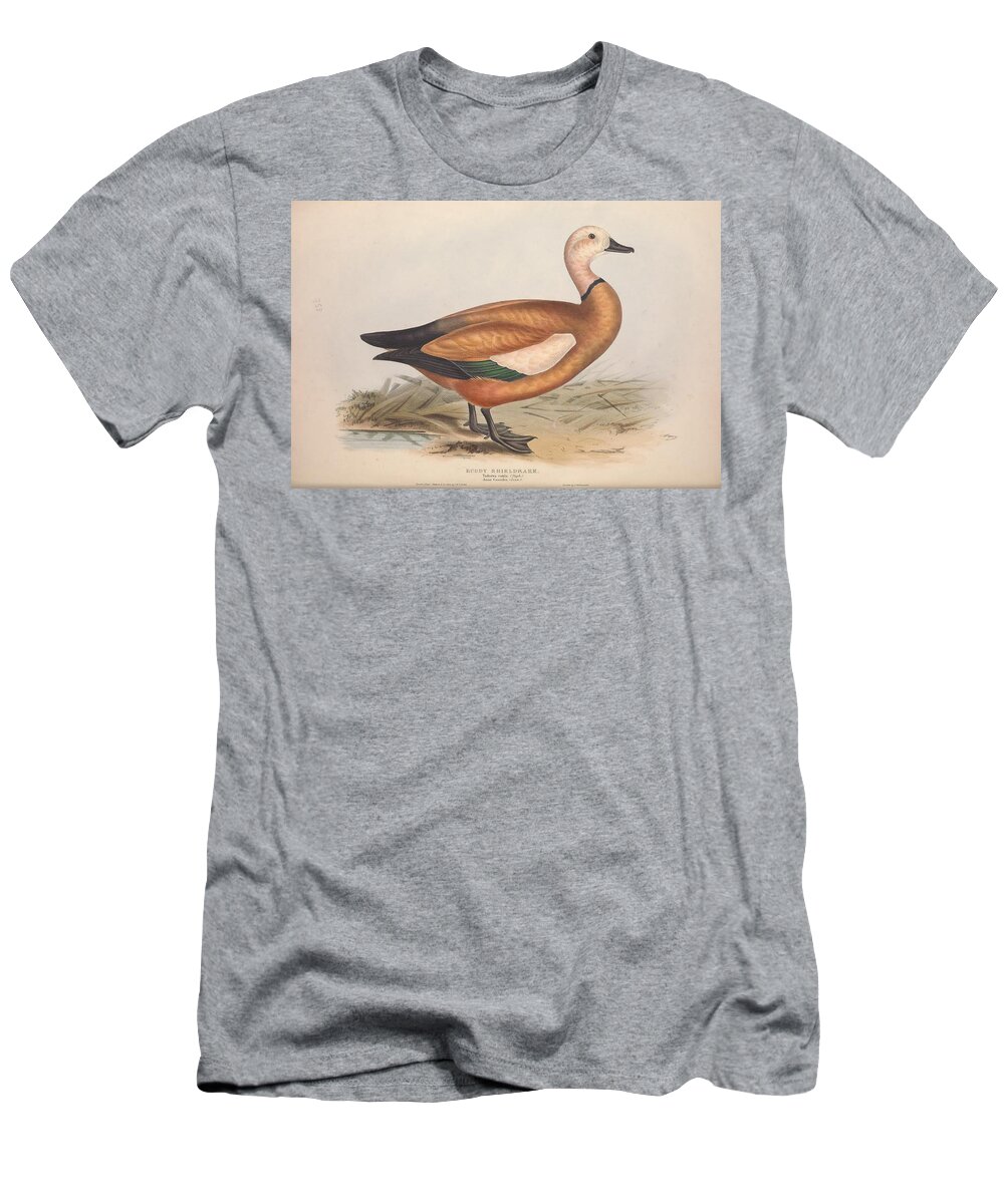 Ducks T-Shirt featuring the mixed media Beautiful antique waterfowl #142 by World Art Collective