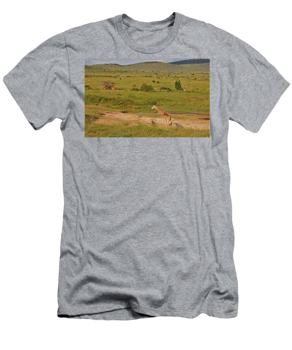  T-Shirt featuring the photograph 15k by Jay Handler