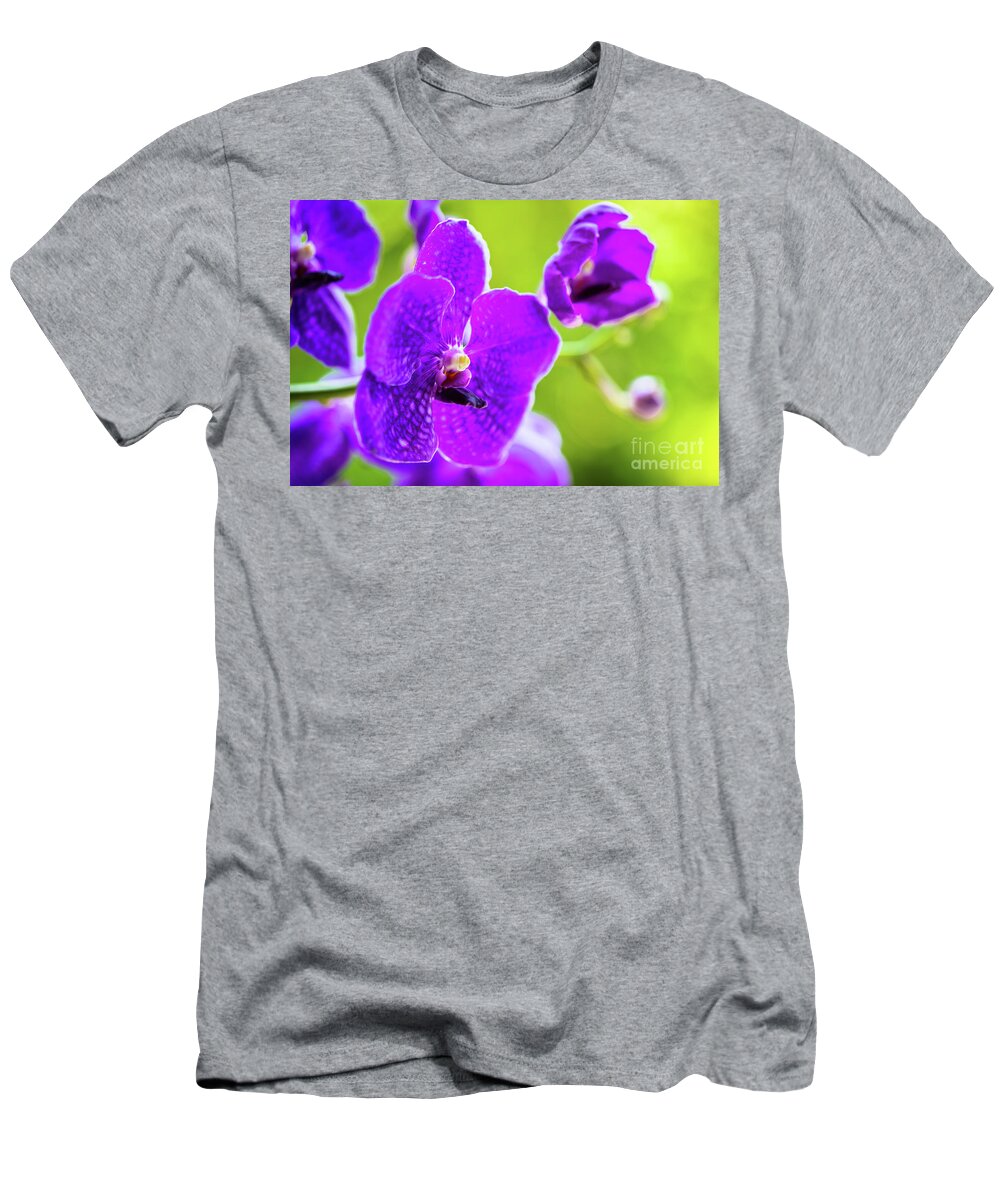 Background T-Shirt featuring the photograph Purple Orchid Flowers #18 by Raul Rodriguez