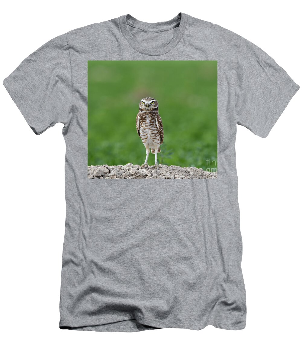 Burrowing Owl T-Shirt featuring the digital art Burrowing Owl #2 by Tammy Keyes