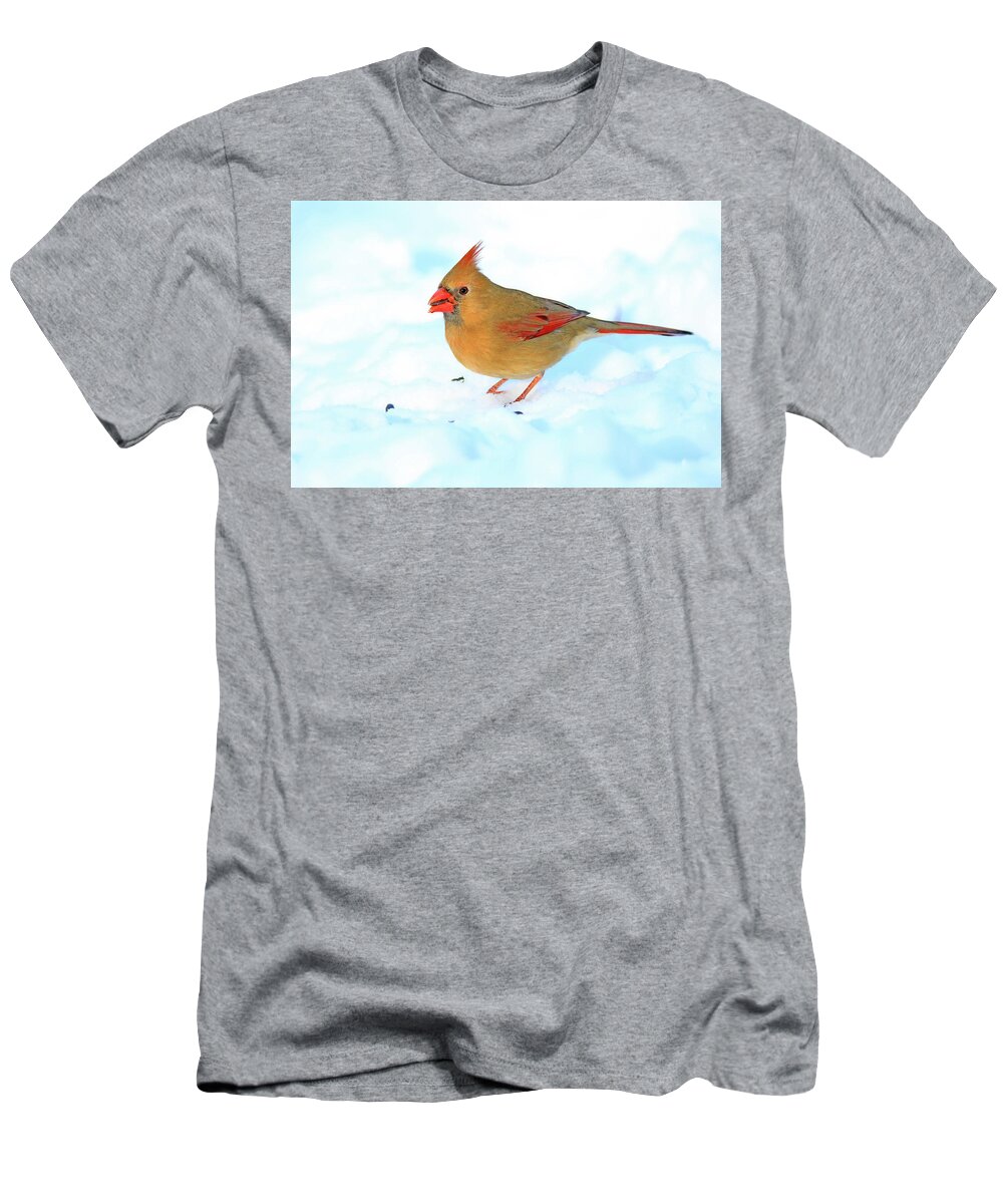 Northern Cardinal T-Shirt featuring the photograph Female Northern Cardinal #2 by Shixing Wen