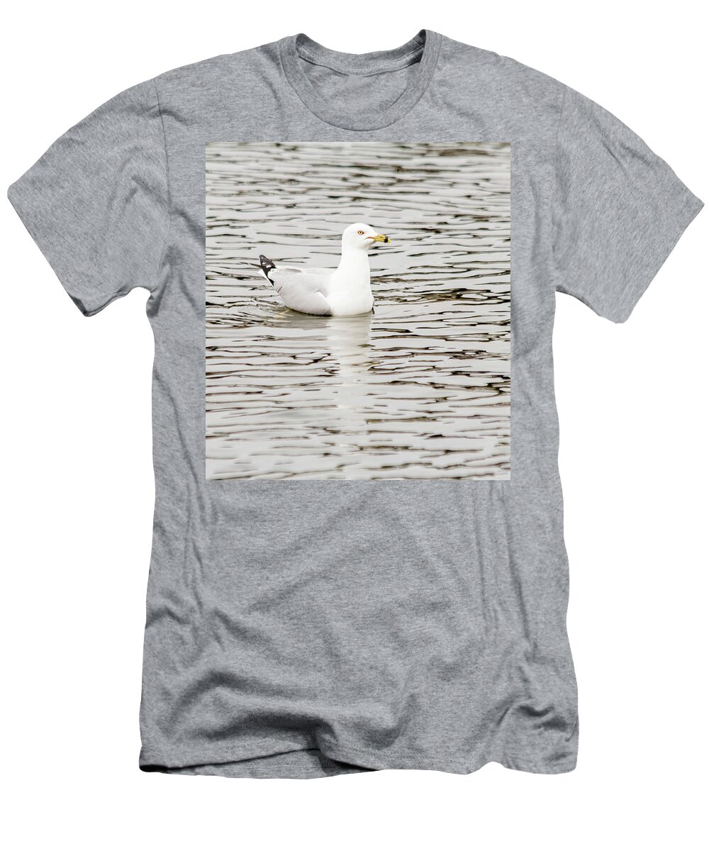 Larus Delawarensis T-Shirt featuring the photograph Gull floats on water #2 by SAURAVphoto Online Store