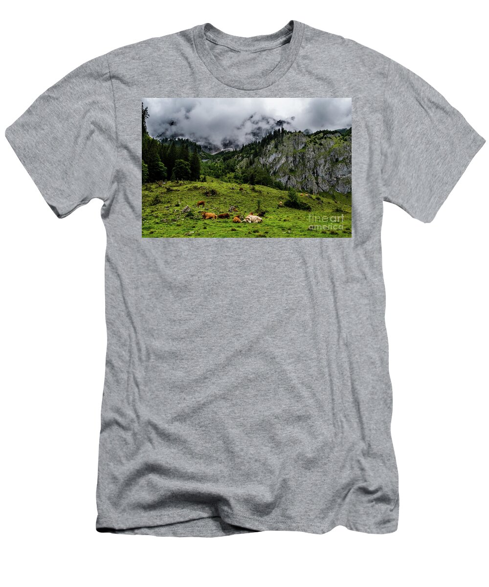 Austria T-Shirt featuring the photograph Herd Of Cows In National Park Gesaeuse In The Ennstaler Alps In Austria by Andreas Berthold