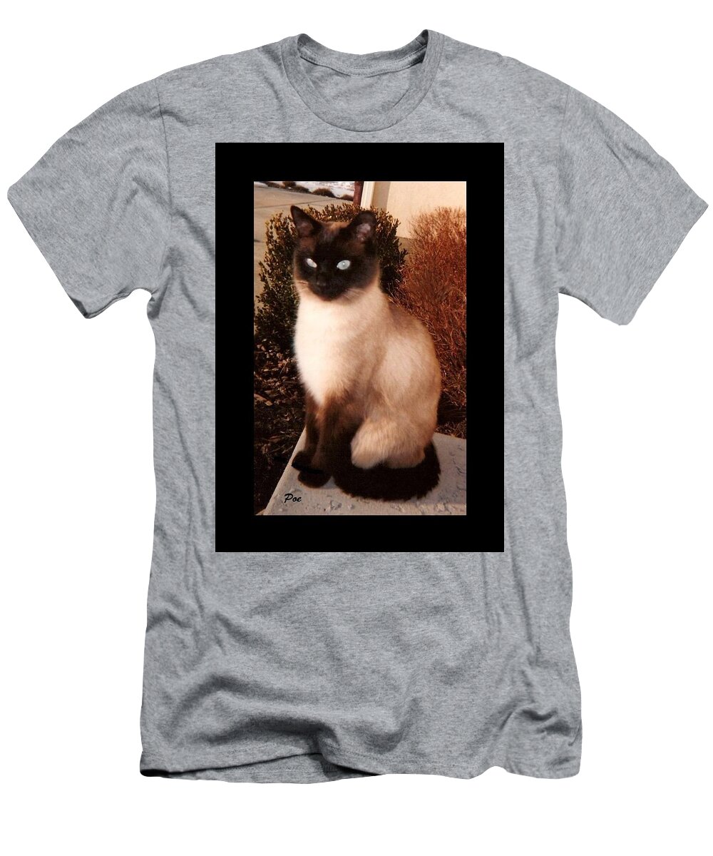Felines T-Shirt featuring the photograph Poe #2 by Diane Strain