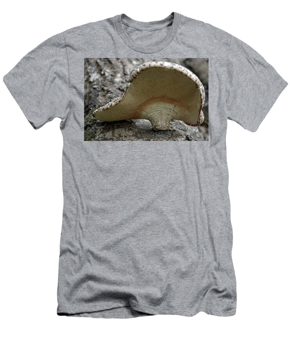 Fungus T-Shirt featuring the photograph Tree Fungus #2 by Svetlana Sewell