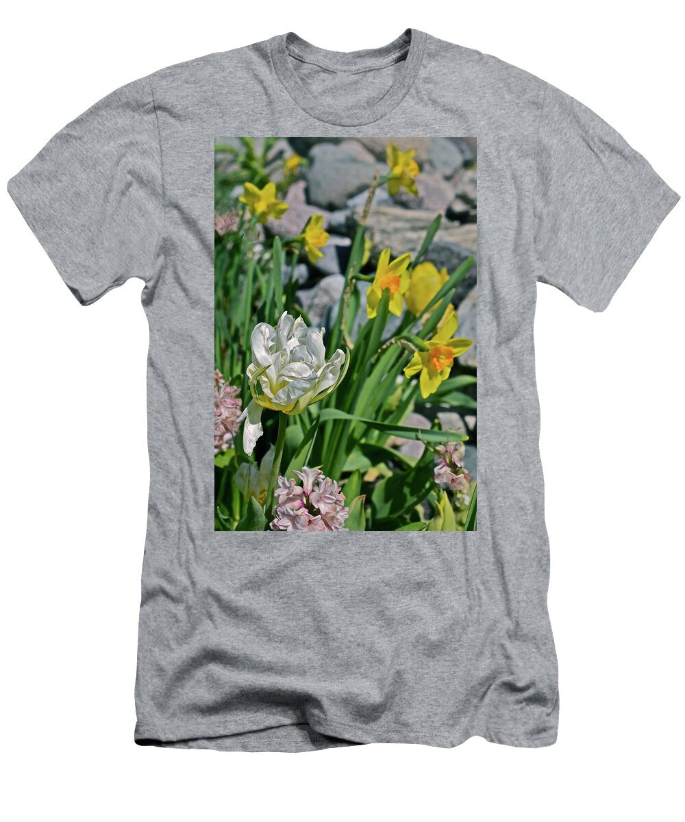 Tulips T-Shirt featuring the photograph 2020 Acewood Tulips, Hyacinth and Daffodils by Janis Senungetuk