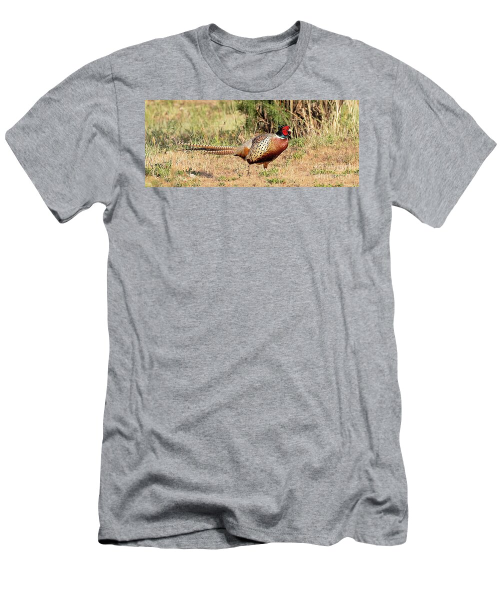 Bird T-Shirt featuring the photograph Ring-necked Pheasant #21 by Dennis Hammer