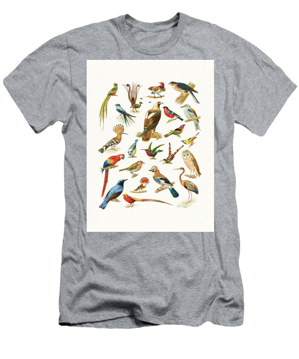 Bird T-Shirt featuring the drawing 22 Species of Birds by Edward Fielding