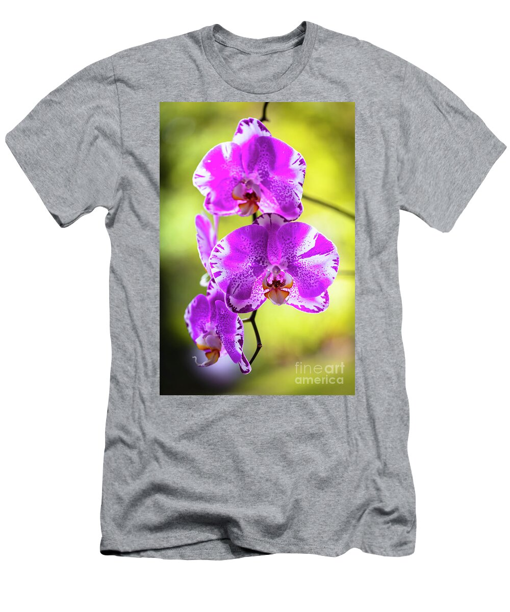 Background T-Shirt featuring the photograph Purple Orchid Flowers #25 by Raul Rodriguez