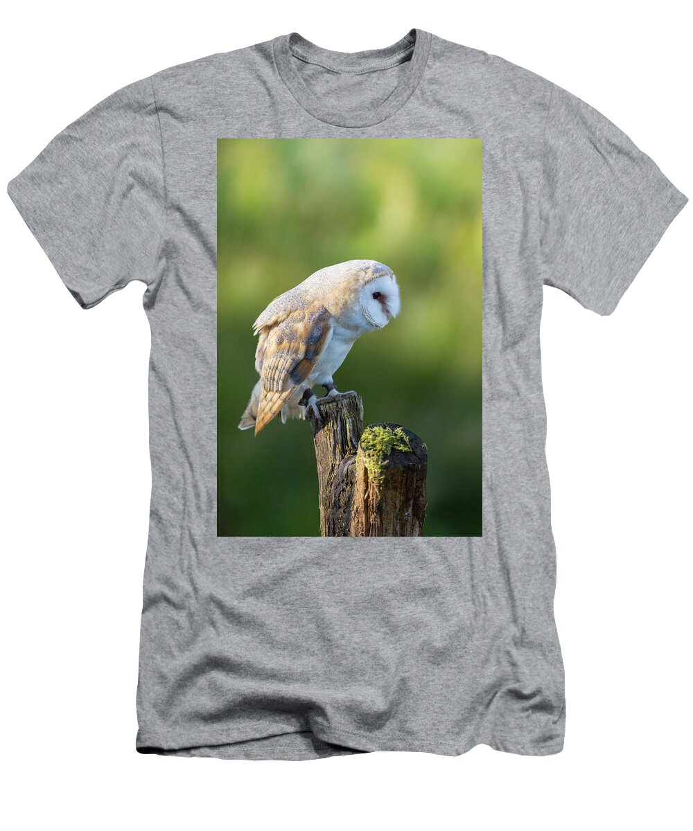Barn Owl T-Shirt featuring the photograph Barn Owl by Anita Nicholson