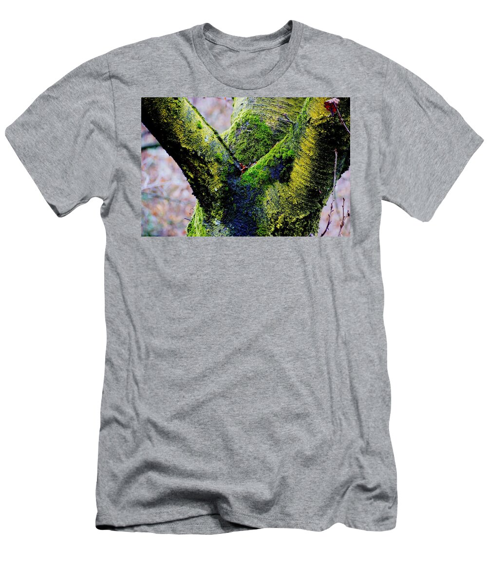 Trees T-Shirt featuring the photograph Cavoretto, Torino Italy #4 by Marco Cattaruzzi