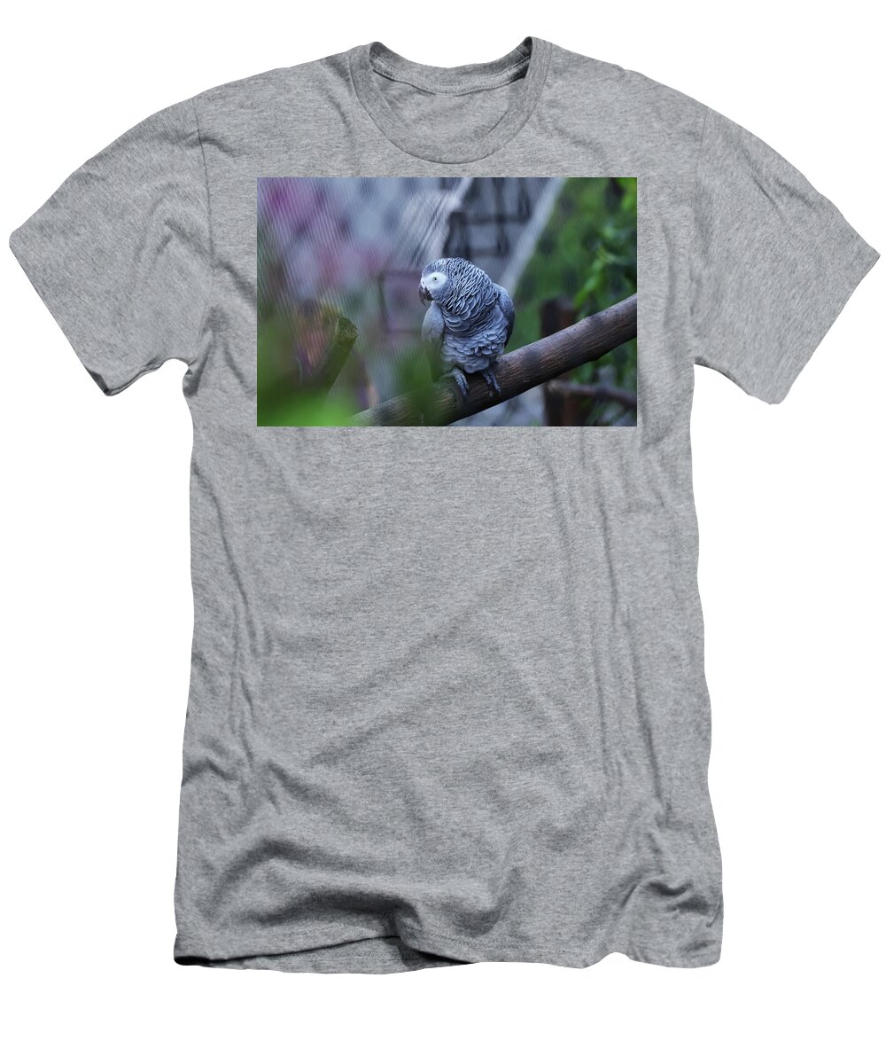 Grey Parrot T-Shirt featuring the photograph Seductive view of Grey parrot by Vaclav Sonnek