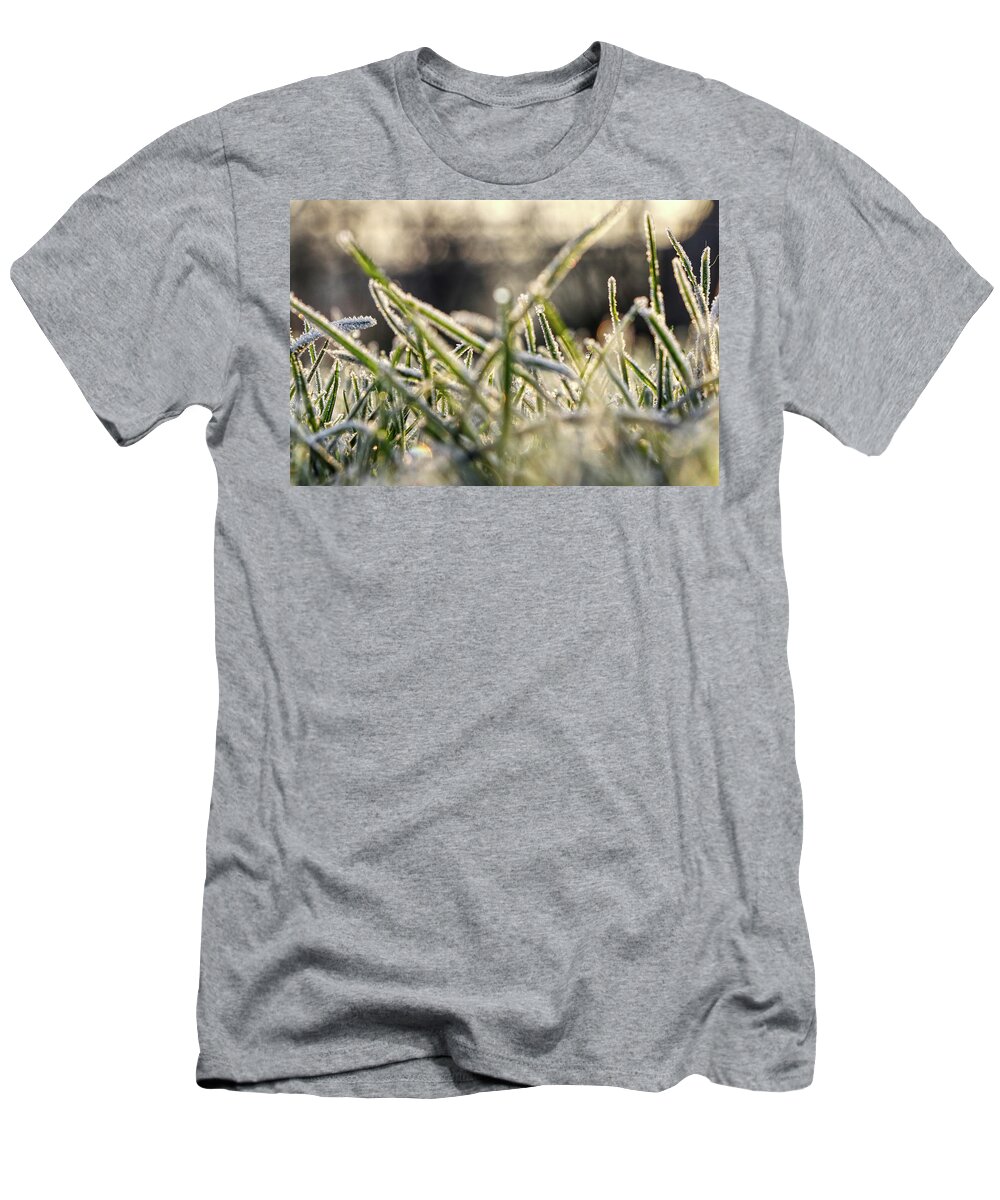 Environment T-Shirt featuring the photograph Stems Of Grass On The Garden In Winter Months by Vaclav Sonnek