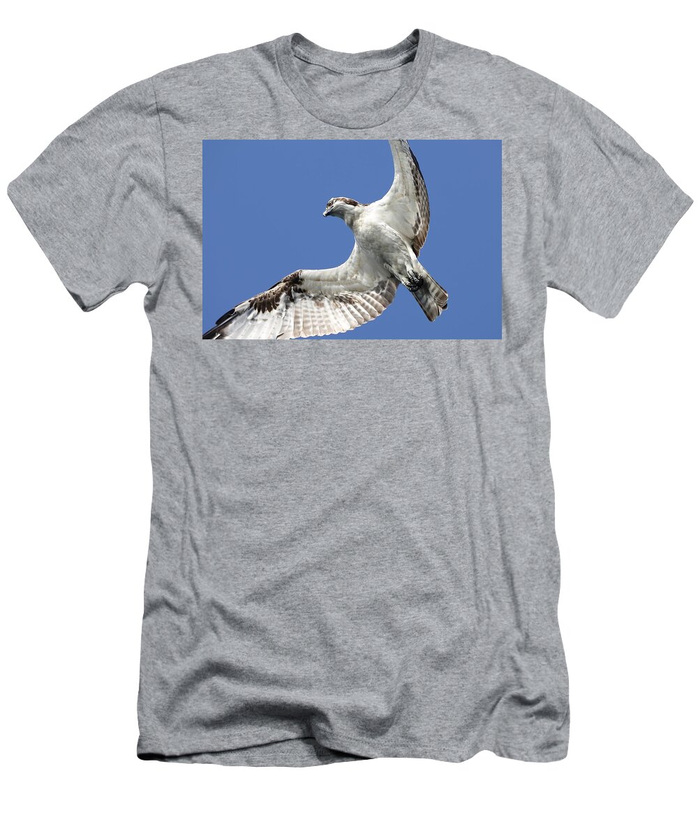 Osprey T-Shirt featuring the photograph A Close-Up of Osprey by Mingming Jiang