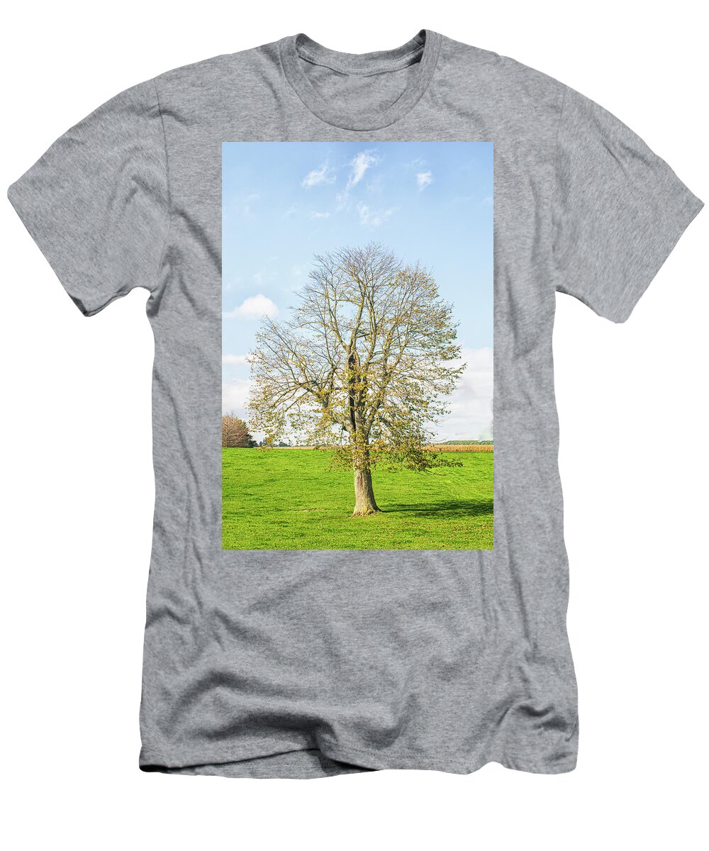 Alone T-Shirt featuring the photograph A Lone Tree in an Indiana Pasture in the Fall by Bob Decker