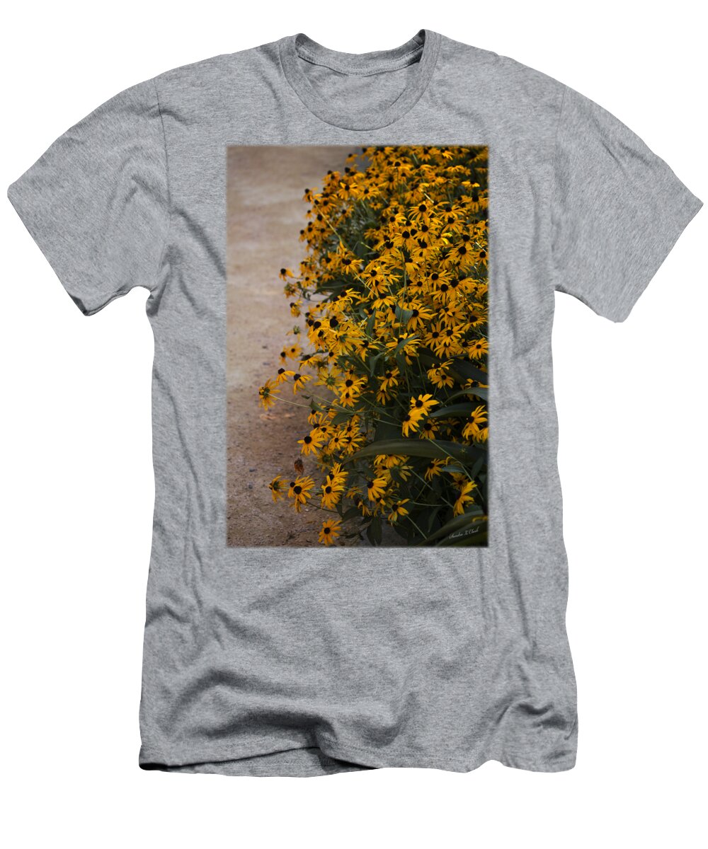 Path T-Shirt featuring the photograph A Path of Black-Eyed Susan's by Sandra Clark