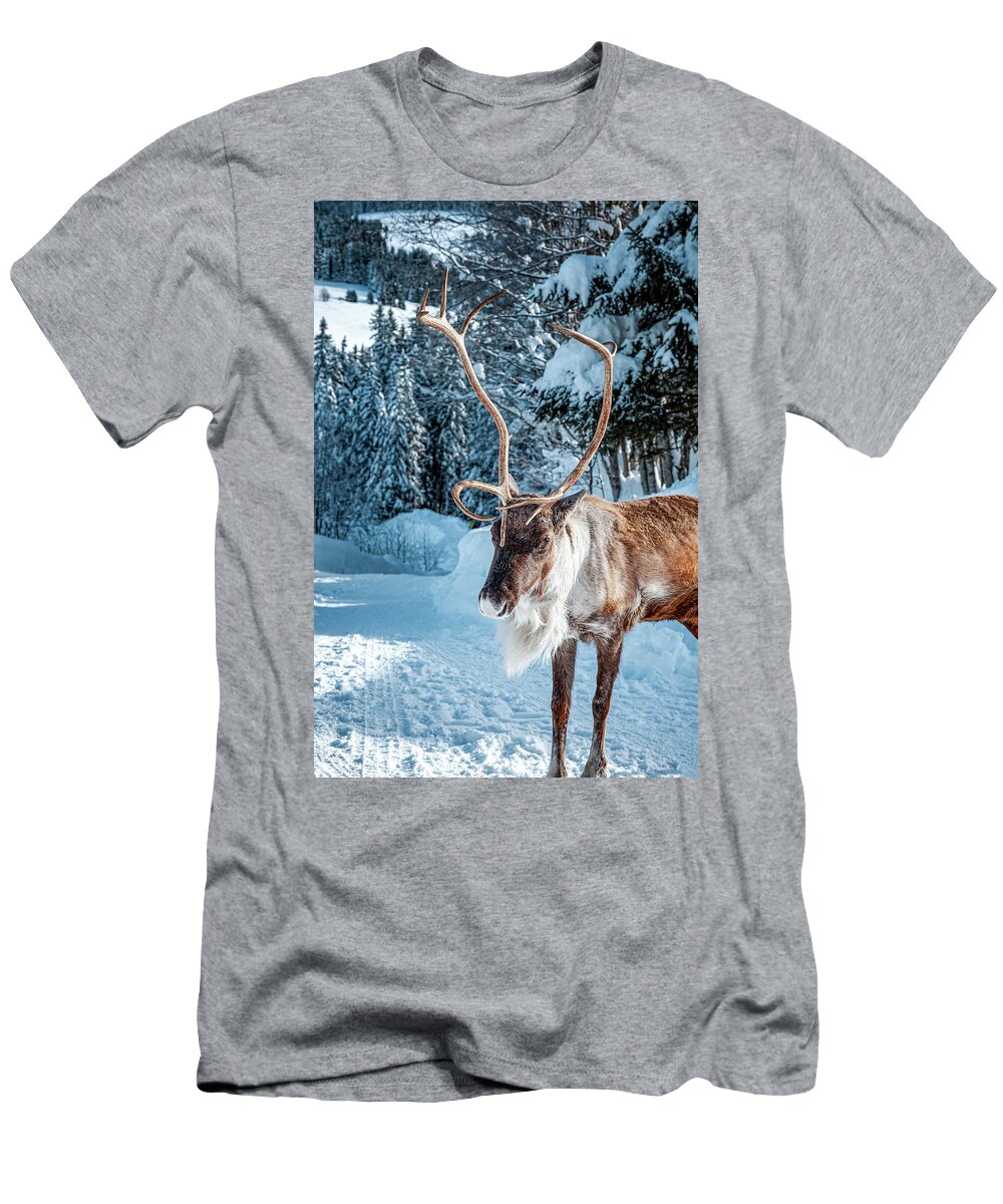 Geneva T-Shirt featuring the photograph A reindeer walks on a snowy road by Benoit Bruchez
