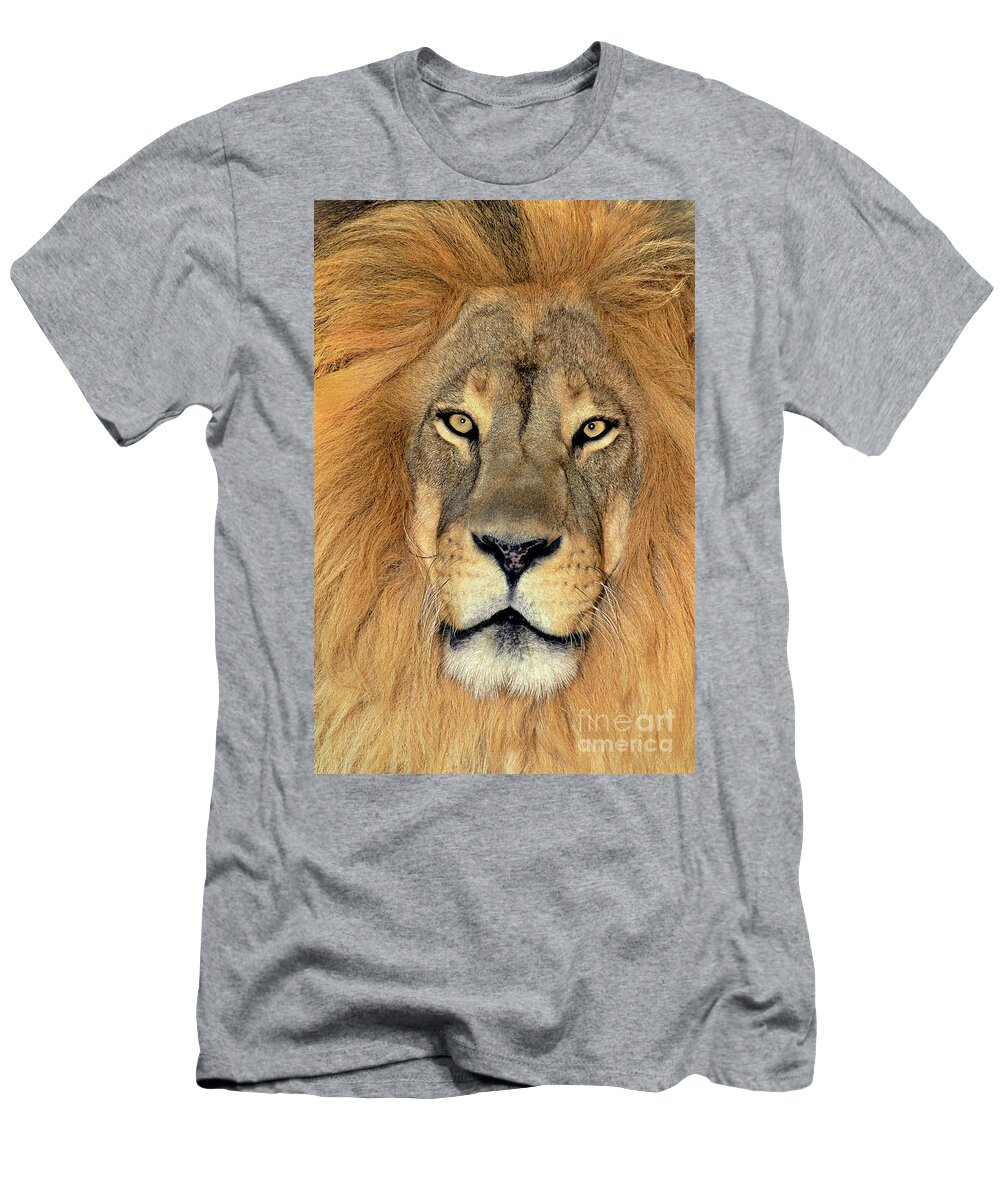 African Lion T-Shirt featuring the photograph African Lion Portrait Wildlife Rescue by Dave Welling