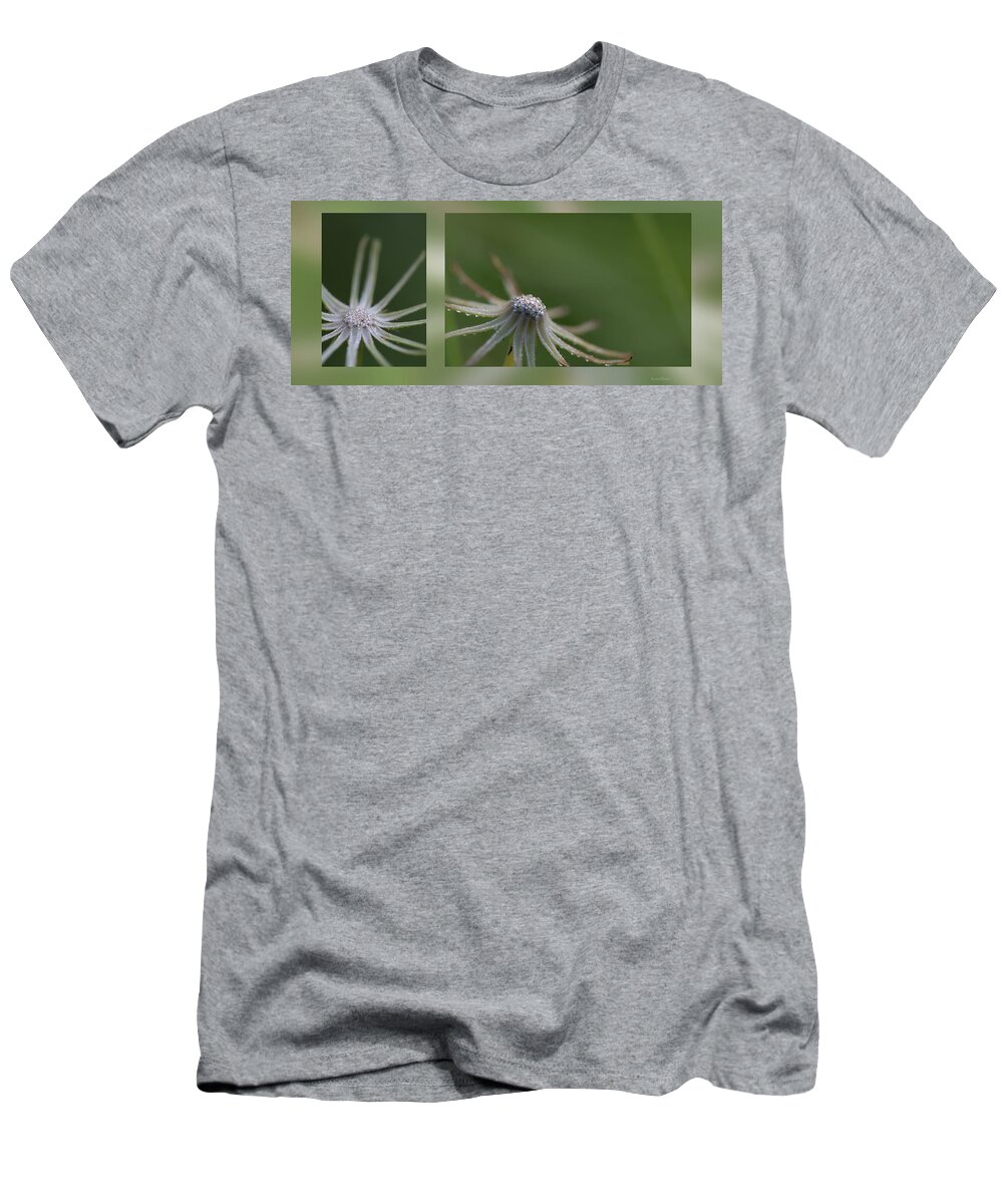 Plants T-Shirt featuring the photograph After the flower by Phil And Karen Rispin
