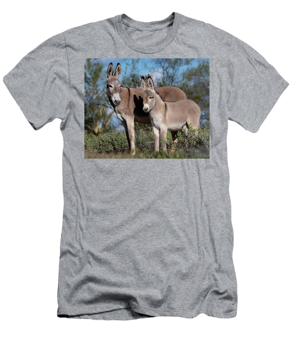 Wild Burros T-Shirt featuring the photograph Always watching by Mary Hone