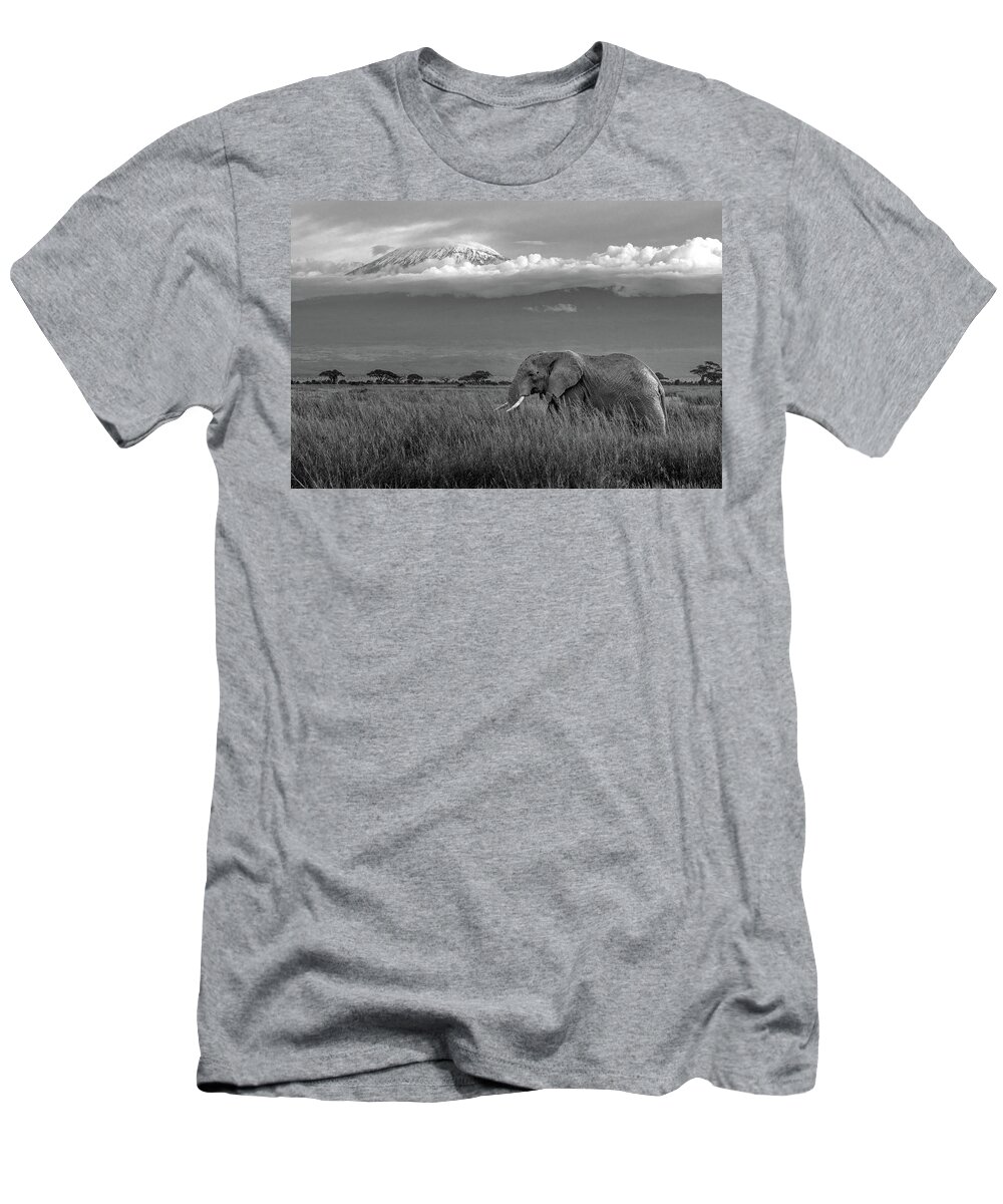 Africa T-Shirt featuring the photograph Amboseli Elephant by Eric Albright