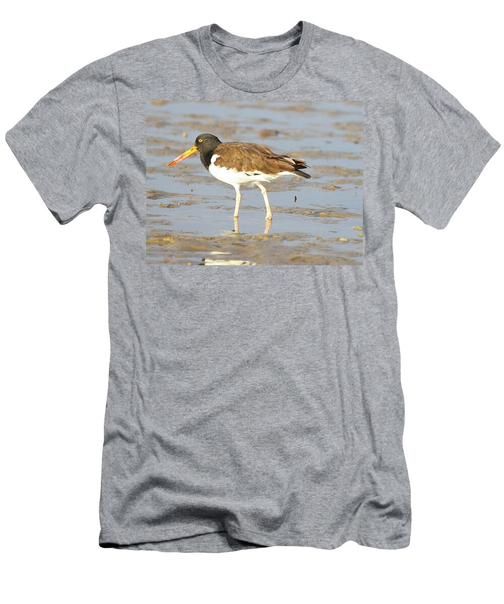 American Oystercatchers T-Shirt featuring the photograph American Oystercatcher 2 by Mingming Jiang
