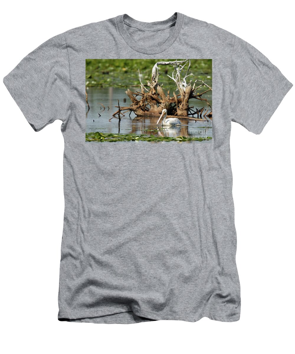 White Pelican T-Shirt featuring the photograph American White Pelican in Sherburne NWR by Natural Focal Point Photography