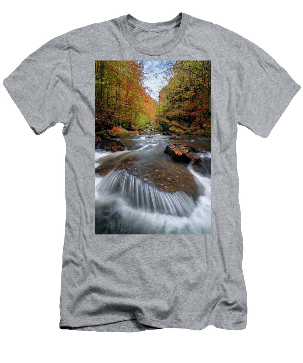 Nature T-Shirt featuring the photograph An autumn dream by Cosmin Stan