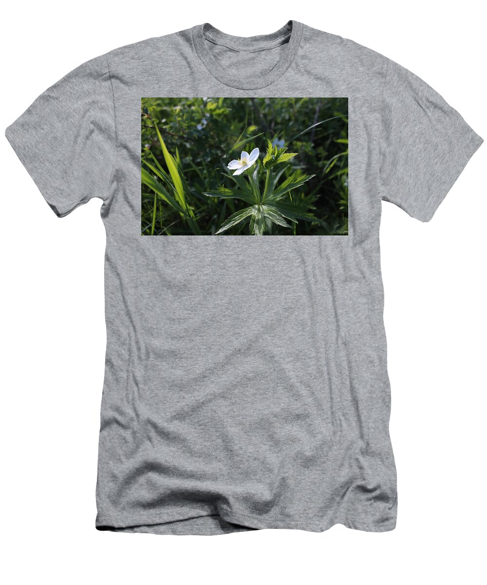 Wild Flower T-Shirt featuring the photograph Anemone by Ruth Kamenev
